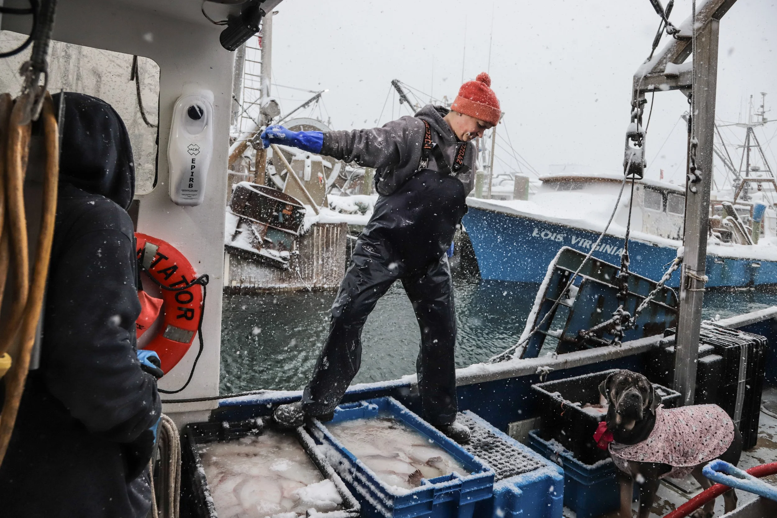 JPW-RIM-Night Shift-Editorial Selections-Feb 2026-36.jpg