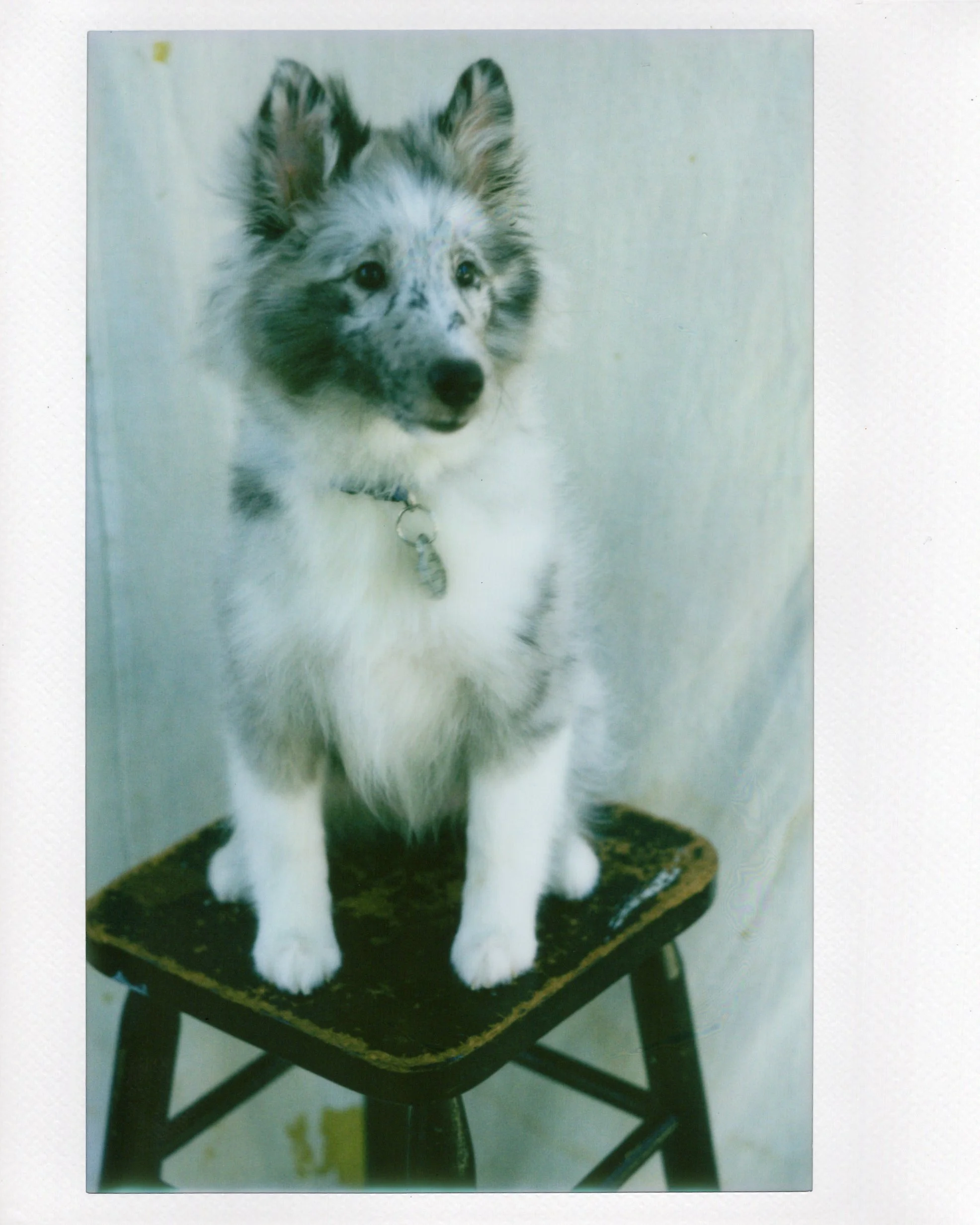 JPW-Website-Portrait Installations-2026-43.jpg