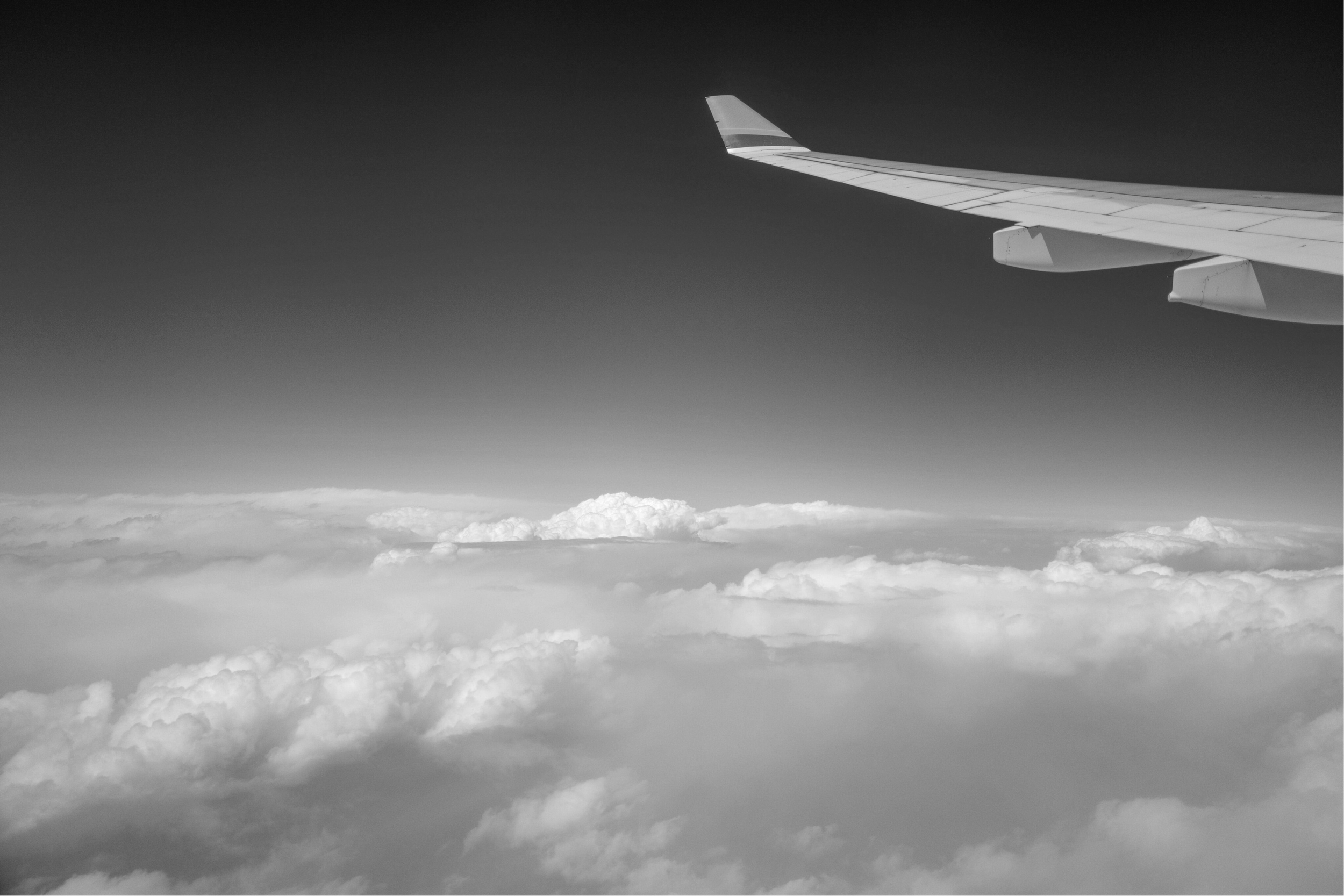 Untitled design (31).png