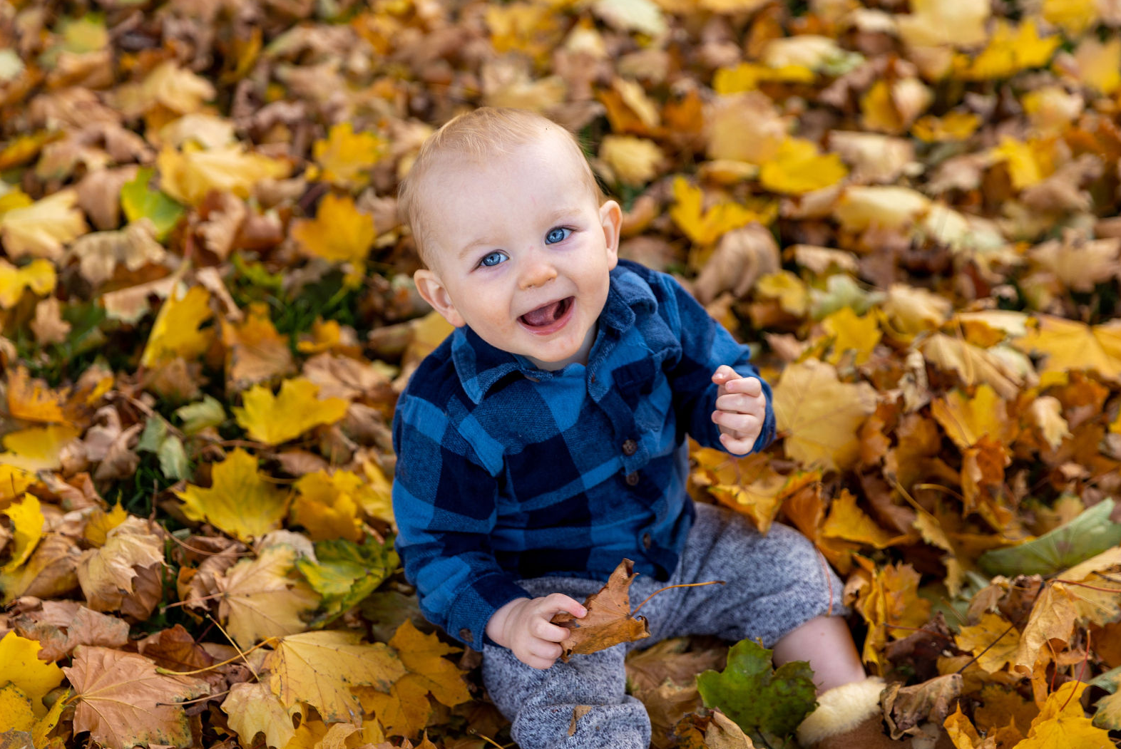 Screenshot 2023-10-24 123429.png