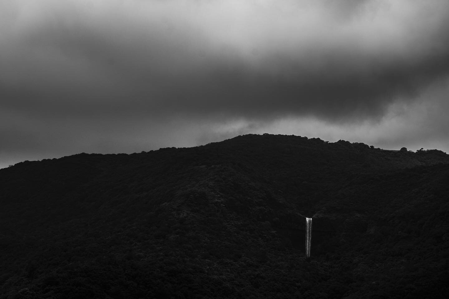 Rainforest diaries, Westernghats, India

_______________

#blackandwhitephotography #captures #monochrome #fineartphotography #abstractphotography #fotografia #artgallery #indiaphotoconcept #indiaphotostory #conceptualphotography #nikon #lensculture 