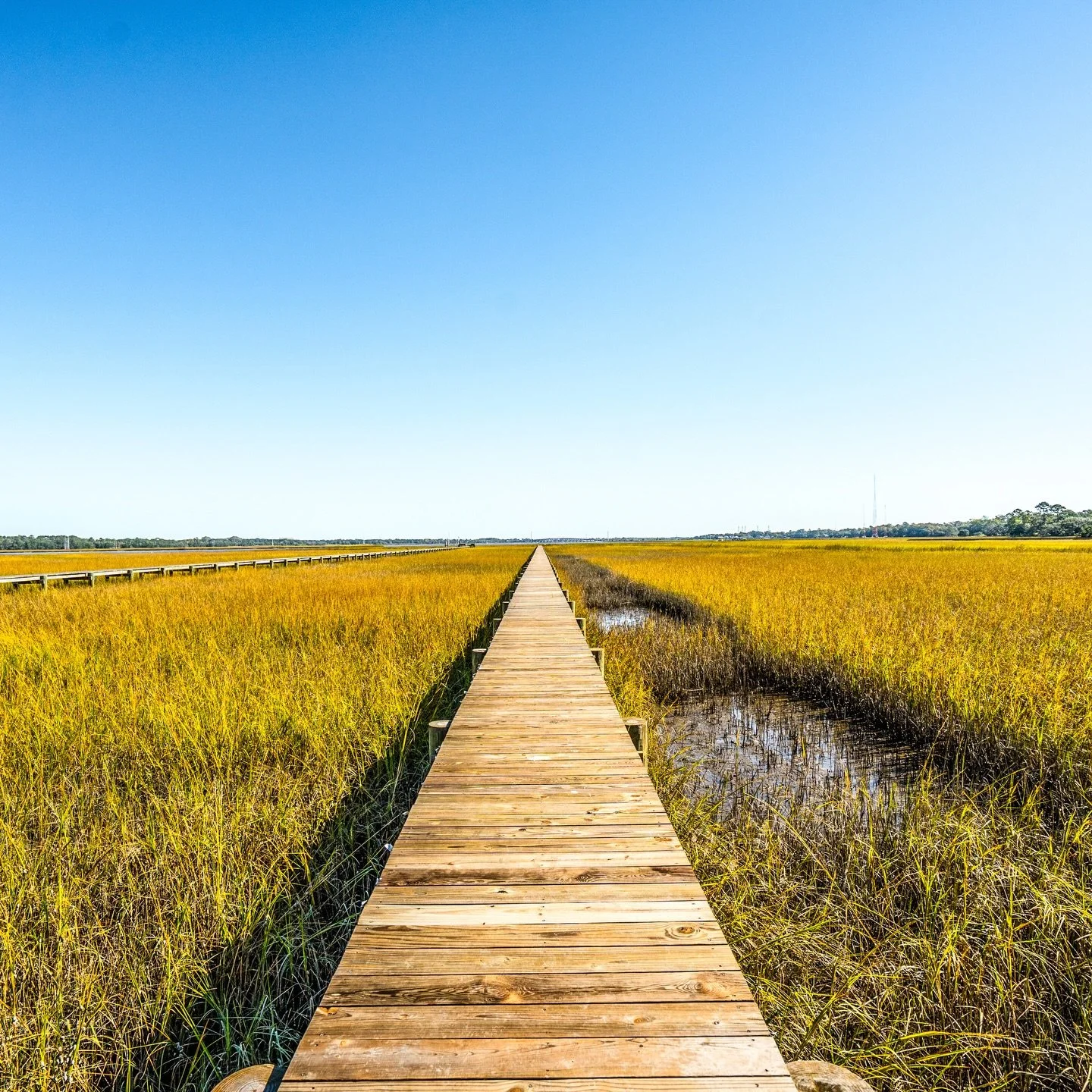 Some of our favorite shots

@draftedarchitecture 
@thesettlementatashleyhall 

#draftedarchitecture #thelongwalk #ashleyriver #charleston #charlestonarchitecture