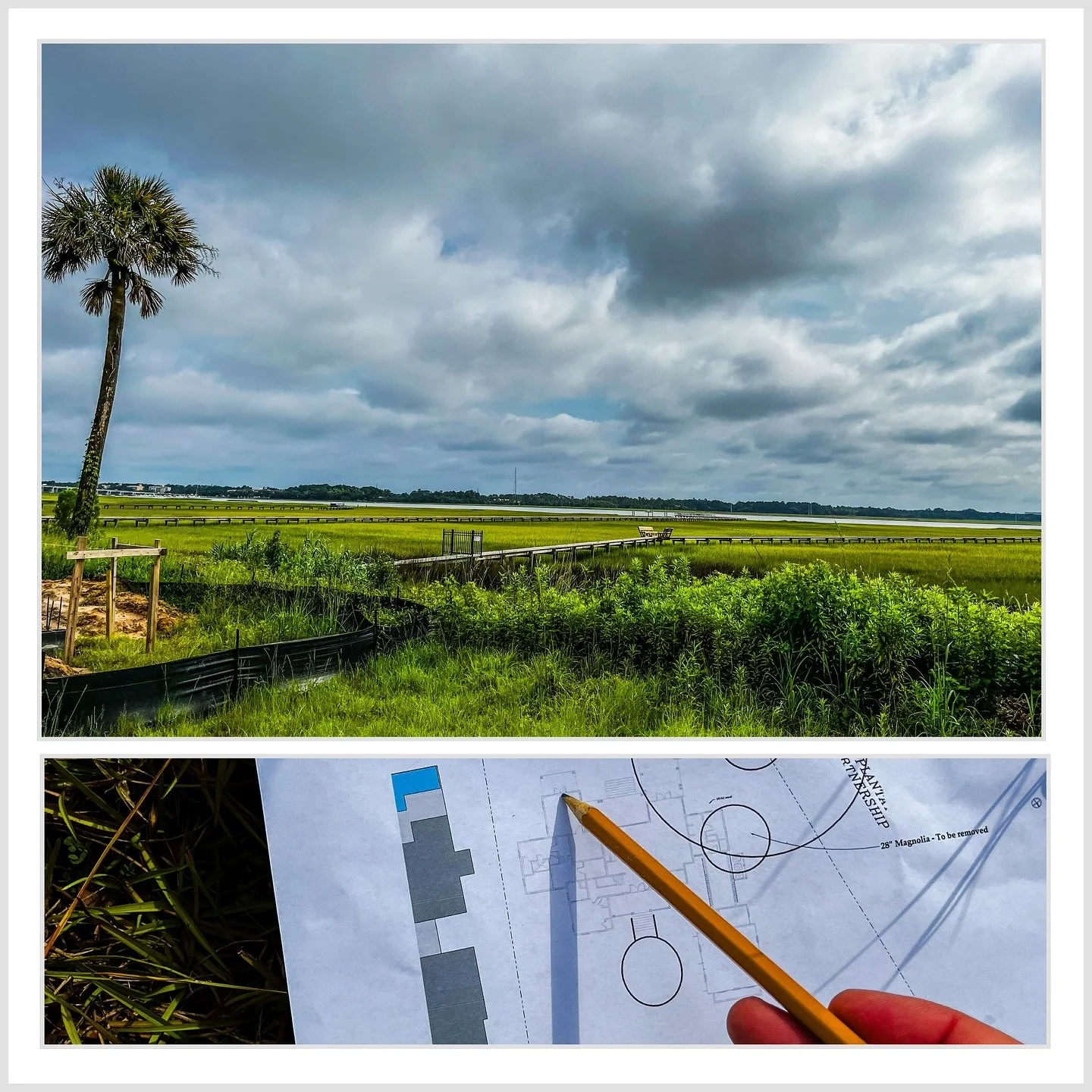 Finding the perfect views @thesettlementatashleyhall 

#draftedarchitecture #charlestonarchitecture #lowcountrydesign #ashleyriver #westashleysc #palmetto #siteplanning
