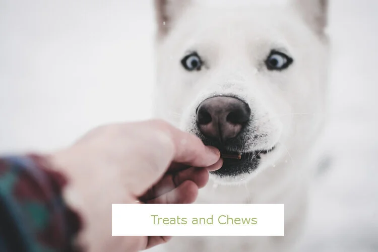 treatsandchews2.jpeg