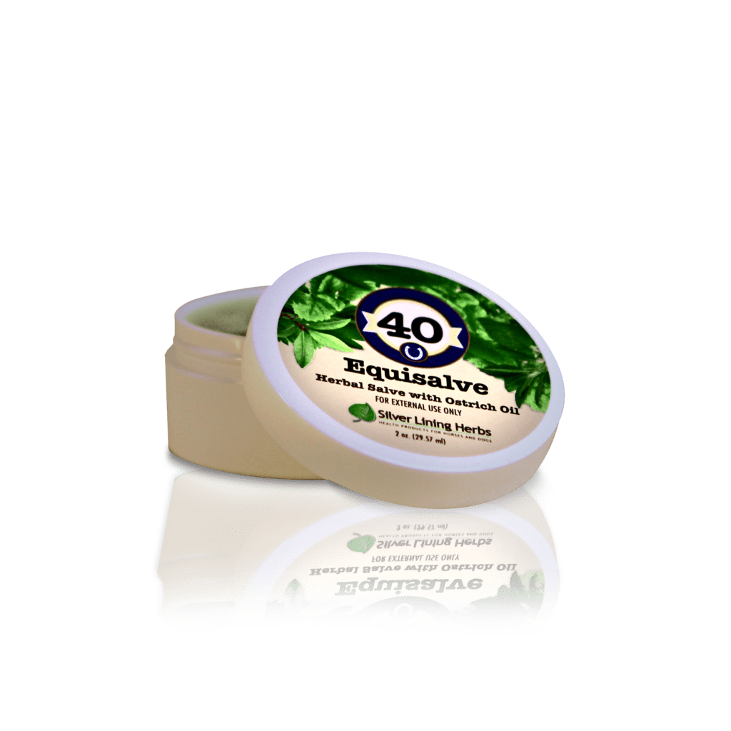 Silver Lining Herbs #40 Equisalve 