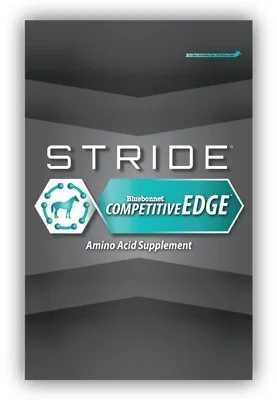 203841_main._AC_SL400_V1570462923_.jpg