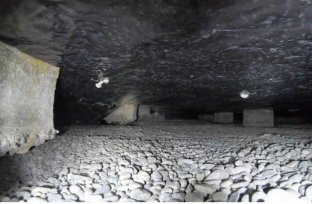 CC Article Image 2.jpg