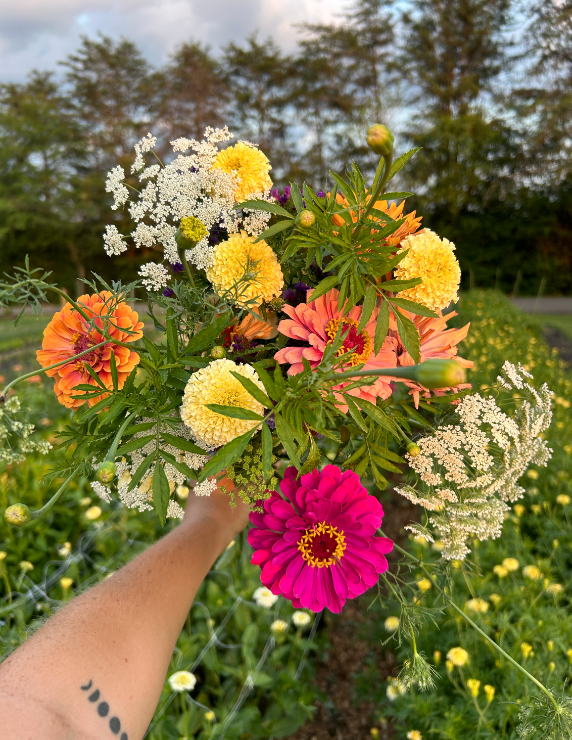 Friday Night Flower U-Pick