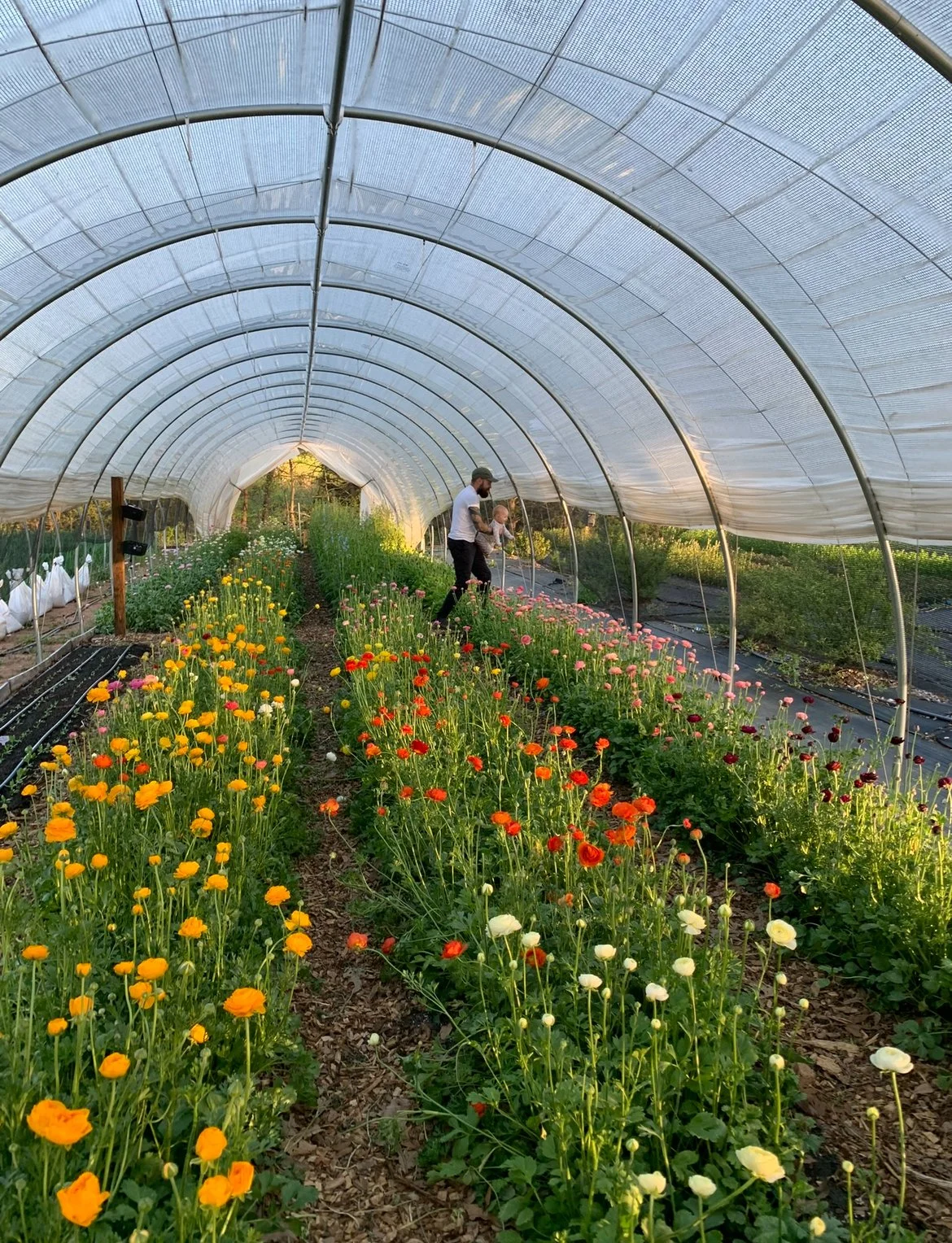 Friday Flower U-Pick