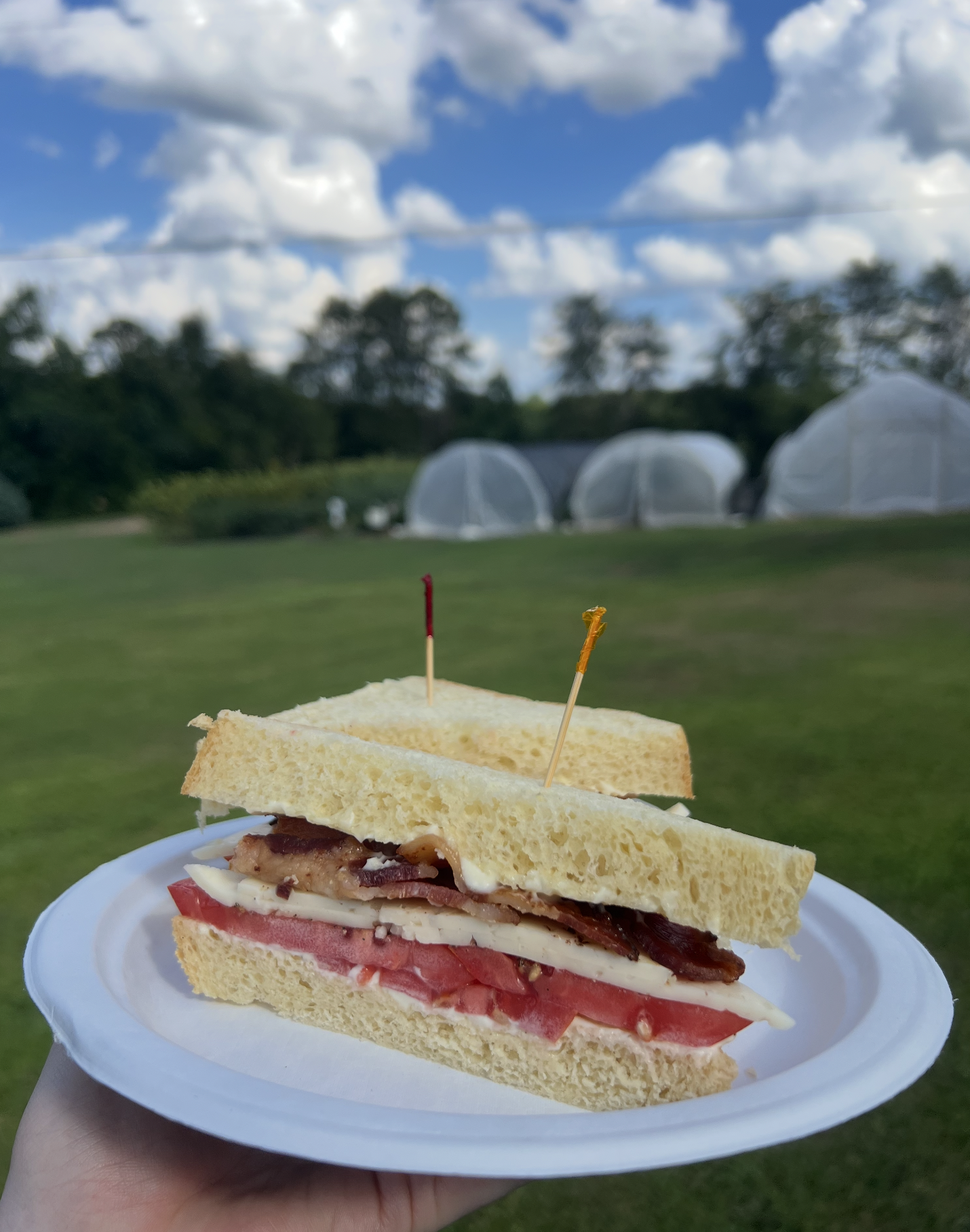 Friday Flower U-Pick &amp; Tomato Sandwich Night