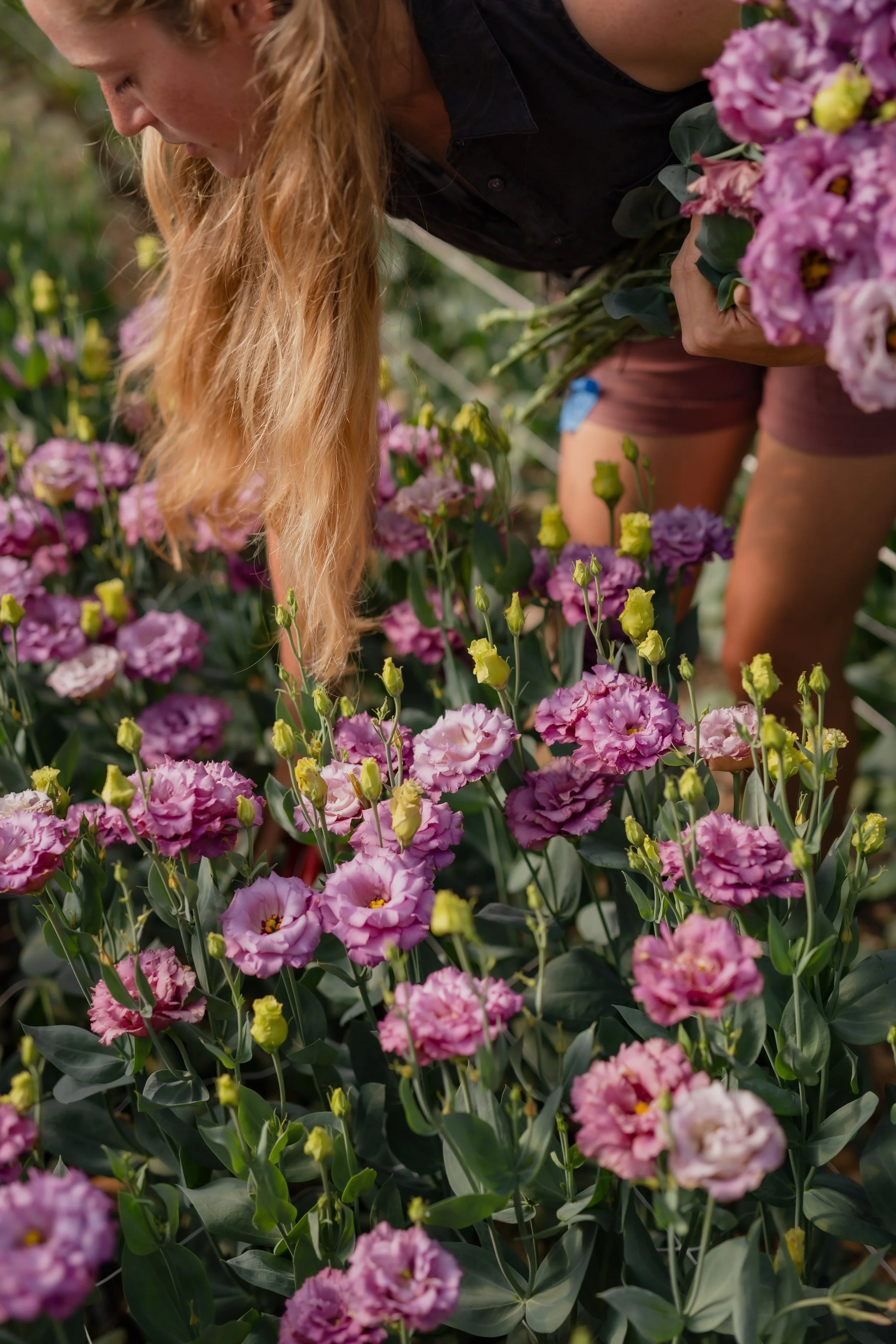 Friday Flower U-Pick