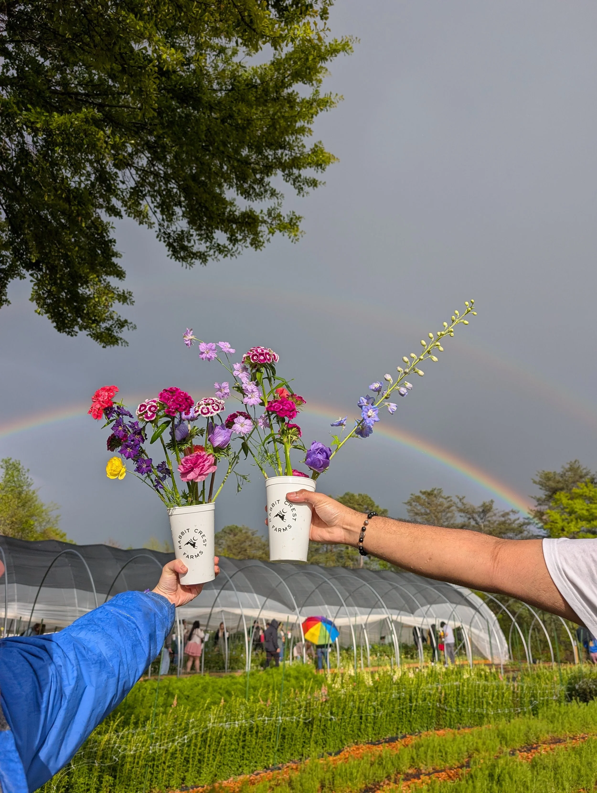 Friday Flower U-Pick — Rabbit Crest Farms