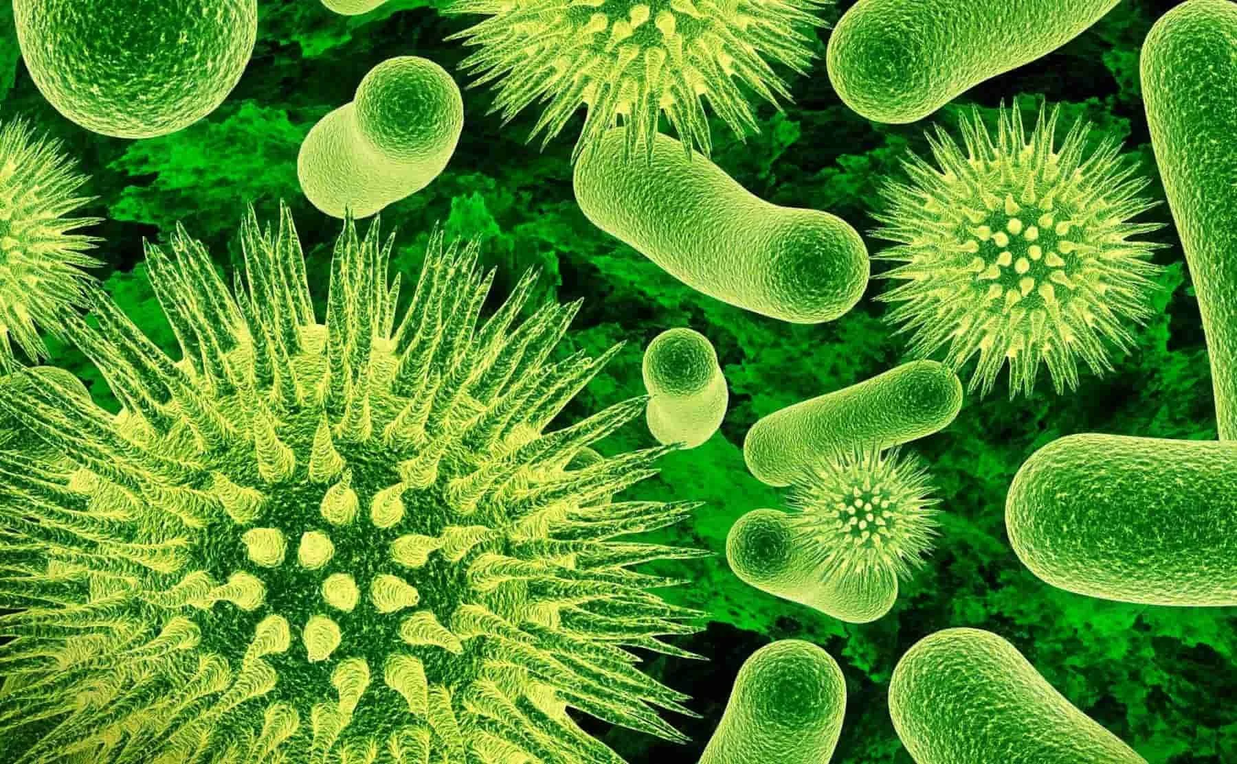 6 Deadly Business Diseases - Treatable if Diagnosed Early