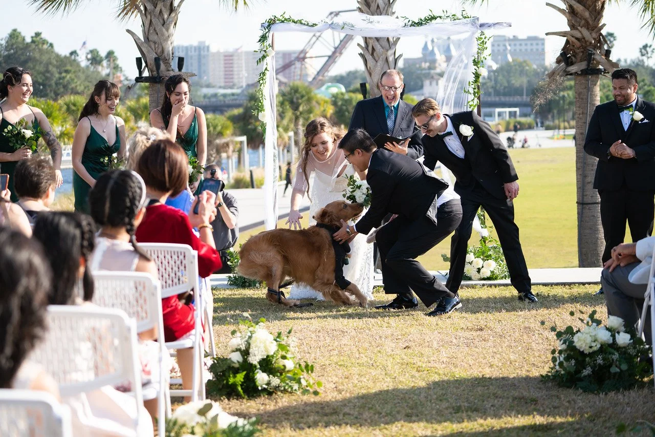 Wedding Couple with Dog in the ceremony