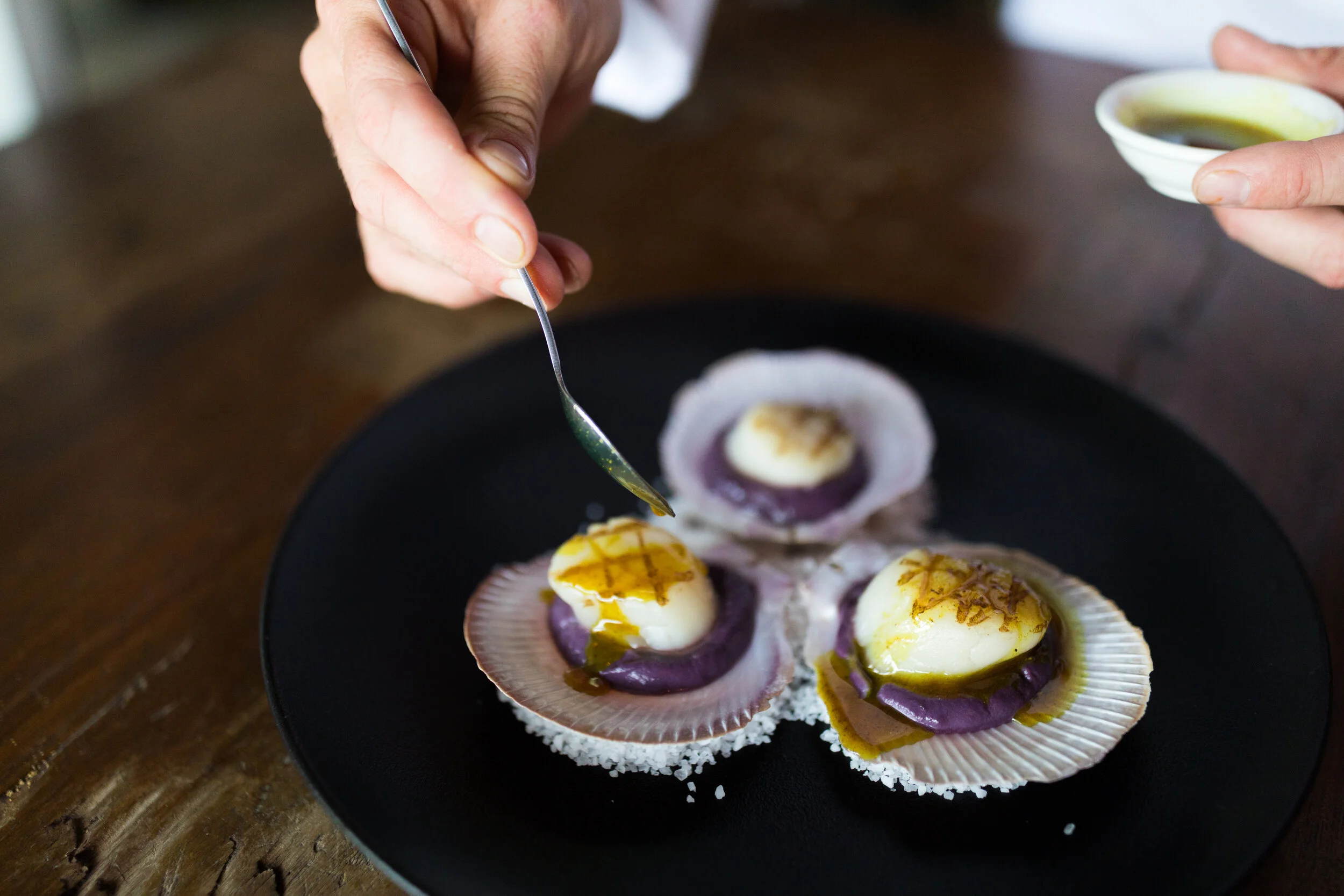 fish on parkyn -9.jpg