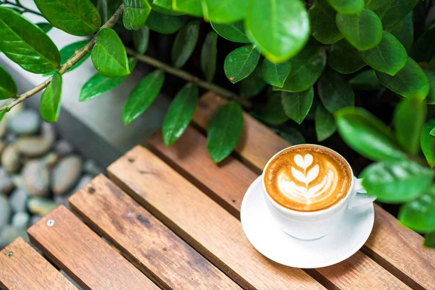 Pop into FISH for that mid-week pick me up 🙌🏼
⠀
We&rsquo;re open for coffee from 8am everyday!
⠀
&mdash;&mdash;&mdash;&mdash;&mdash;&mdash;&mdash;&mdash;&mdash;&mdash;&mdash;&mdash;&mdash;&mdash;&mdash;&mdash;&mdash;&mdash;&mdash;&mdash;&mdash;
⠀
Serving coffee from 8am everyday
⠀
OPEN TUES to SUN
-Lunch from 12pm // Dinner from 5:30pm
-Cocktail &amp; bar menu from 3pm
-Sunday Sesh from 3pm for relaxed afternoon dining
⠀
Visit our website to make a reservation:
www.fishparkridge.com.au
.
.
.
.
.
.
#FISHparkridge #noosa #noosaeats #noosadining #noosarestaurant #noosarestaurants #visitnoosa #visitsunshinecoast #supportlocal #lunch #dinner #instafood #finedining #seafood #seafoodrestaurant