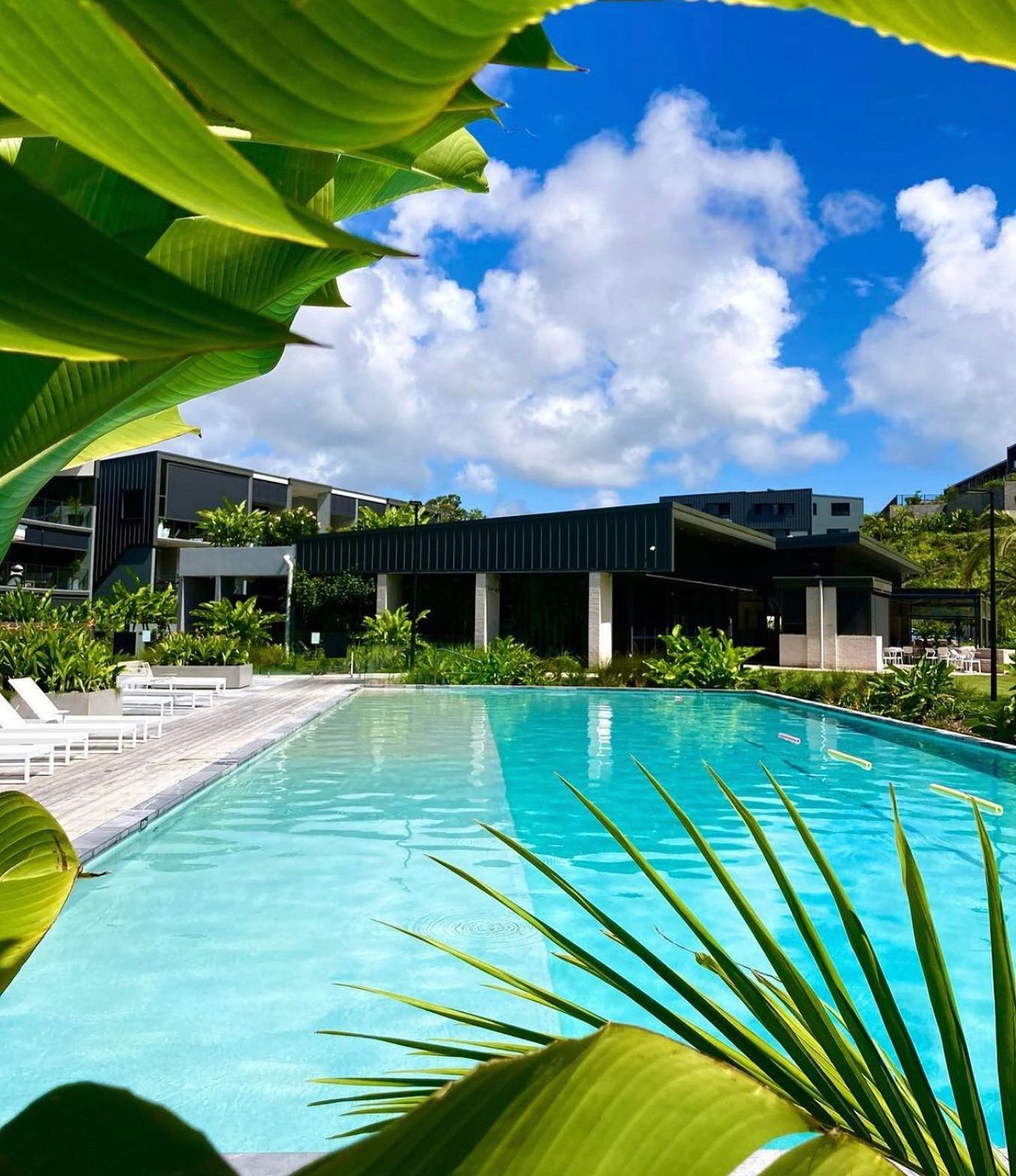 I spy @fish_parkridge 🔍
⠀
📷 @movenoosa 
⠀
&mdash;&mdash;&mdash;&mdash;&mdash;&mdash;&mdash;&mdash;&mdash;&mdash;&mdash;&mdash;&mdash;&mdash;&mdash;&mdash;&mdash;&mdash;&mdash;&mdash;&mdash;
⠀
Serving coffee from 8am everyday
⠀
OPEN TUES to SUN
-Lunch from 12pm // Dinner from 5:30pm
-Cocktail &amp; bar menu from 3pm
-Sunday Sesh from 3pm for relaxed afternoon dining
⠀
Visit our website to make a reservation:
www.fishparkridge.com.au
.
.
.
.
.
.
#FISHparkridge #noosa #noosaeats #noosadining #noosarestaurant #noosarestaurants #visitnoosa #visitsunshinecoast #supportlocal #lunch #dinner #instafood #finedining #seafood #seafoodrestaurant