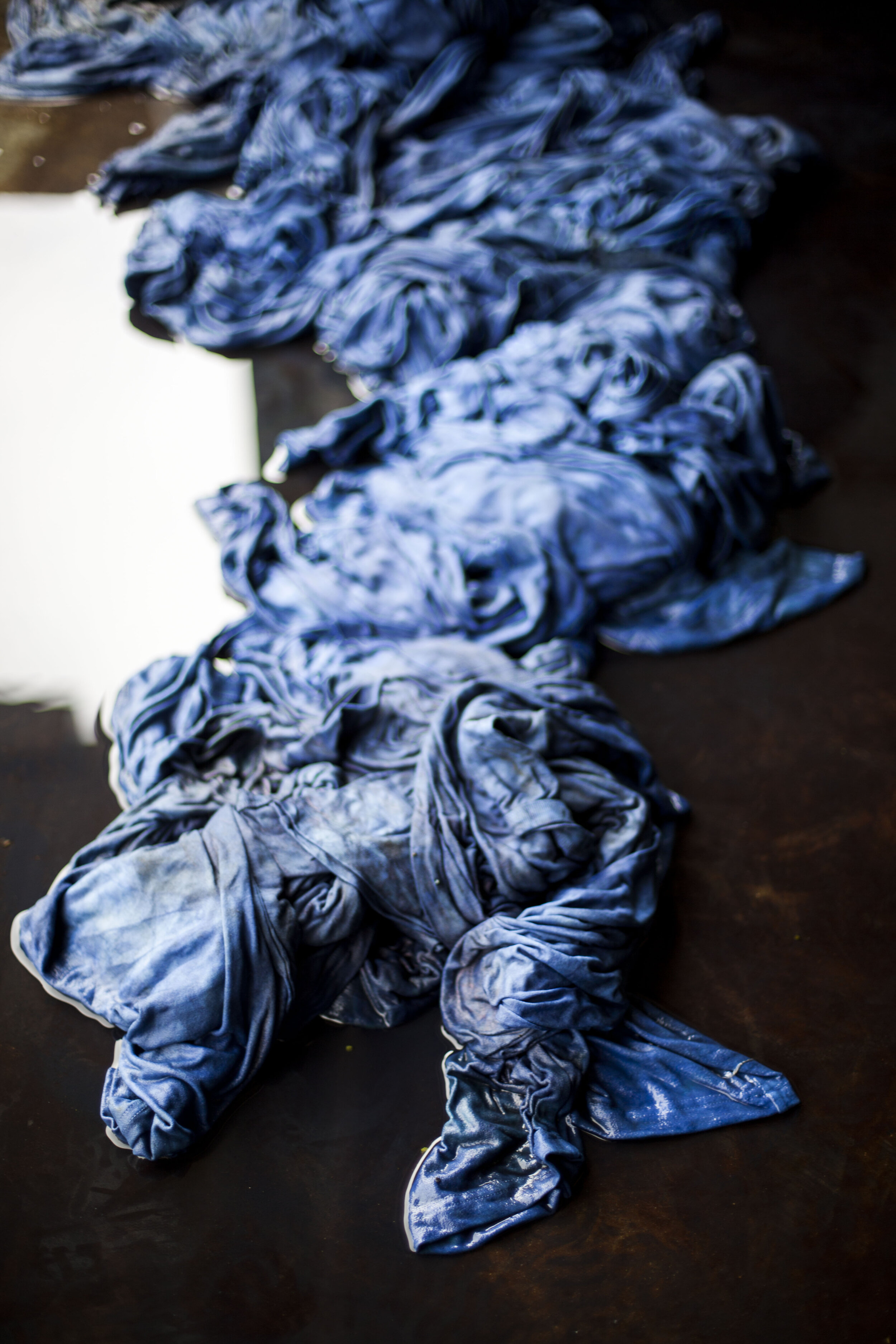 Green Matters Natural Dye Company — Community Indigo Vat