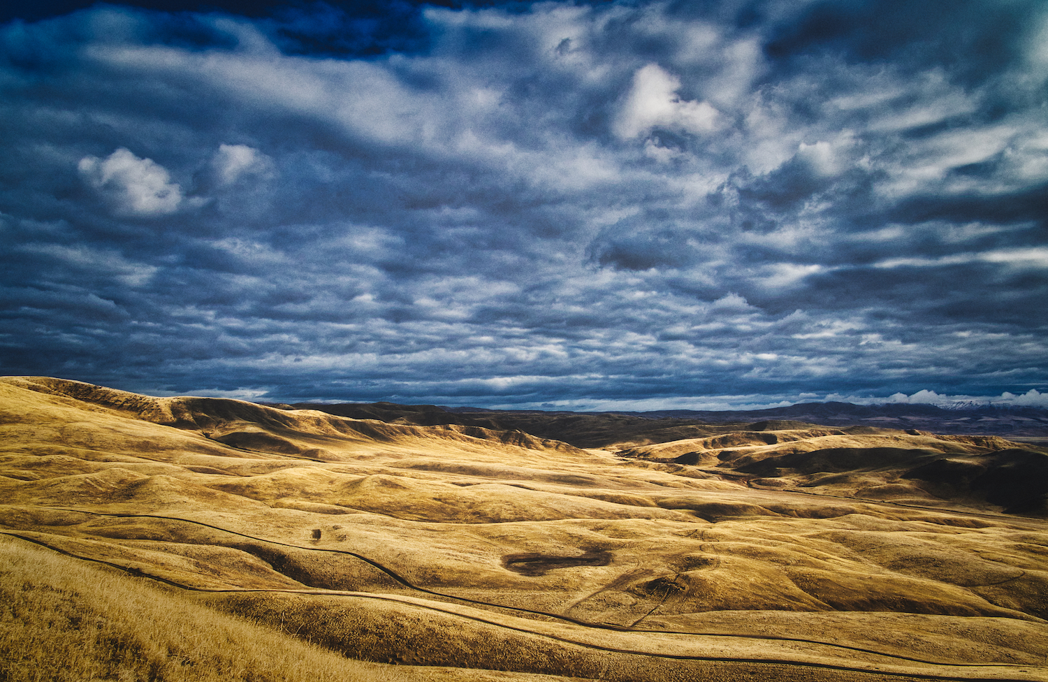 idaho landscape1.jpeg