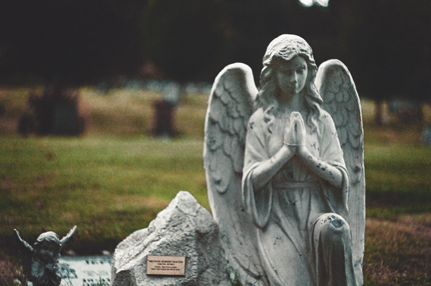 Film angels in the graveyard copy.jpg