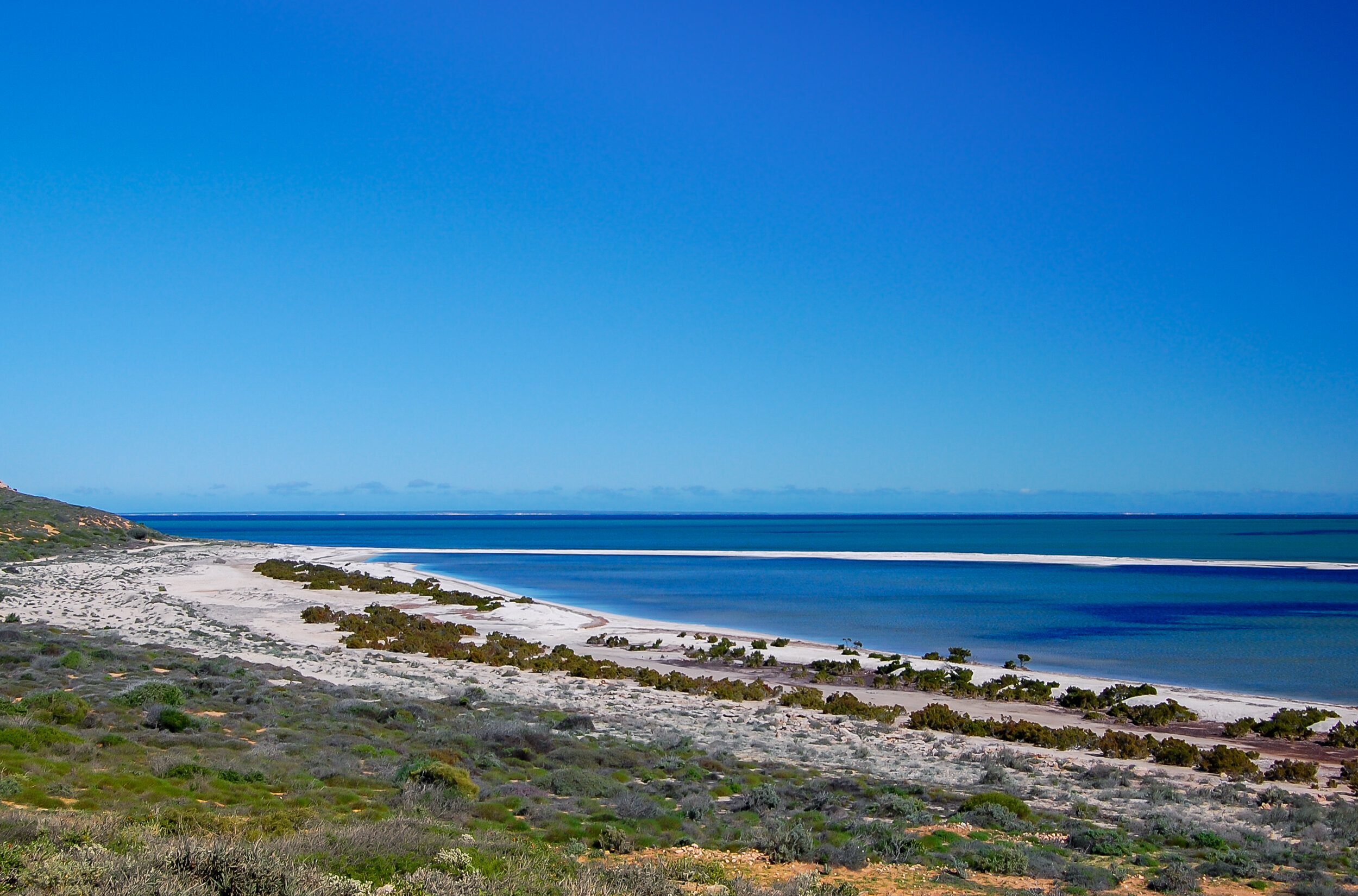 Shark Bay, Western Australia