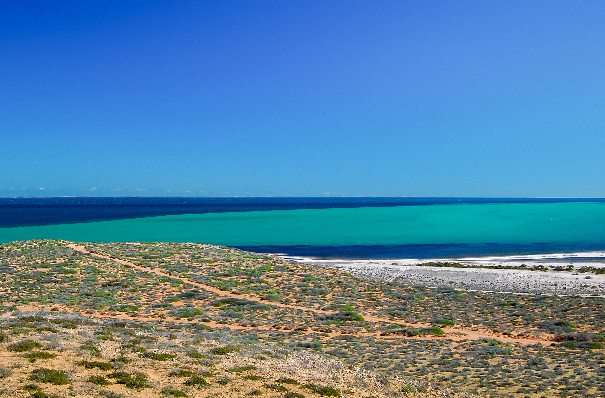 Shark Bay, Western Australia