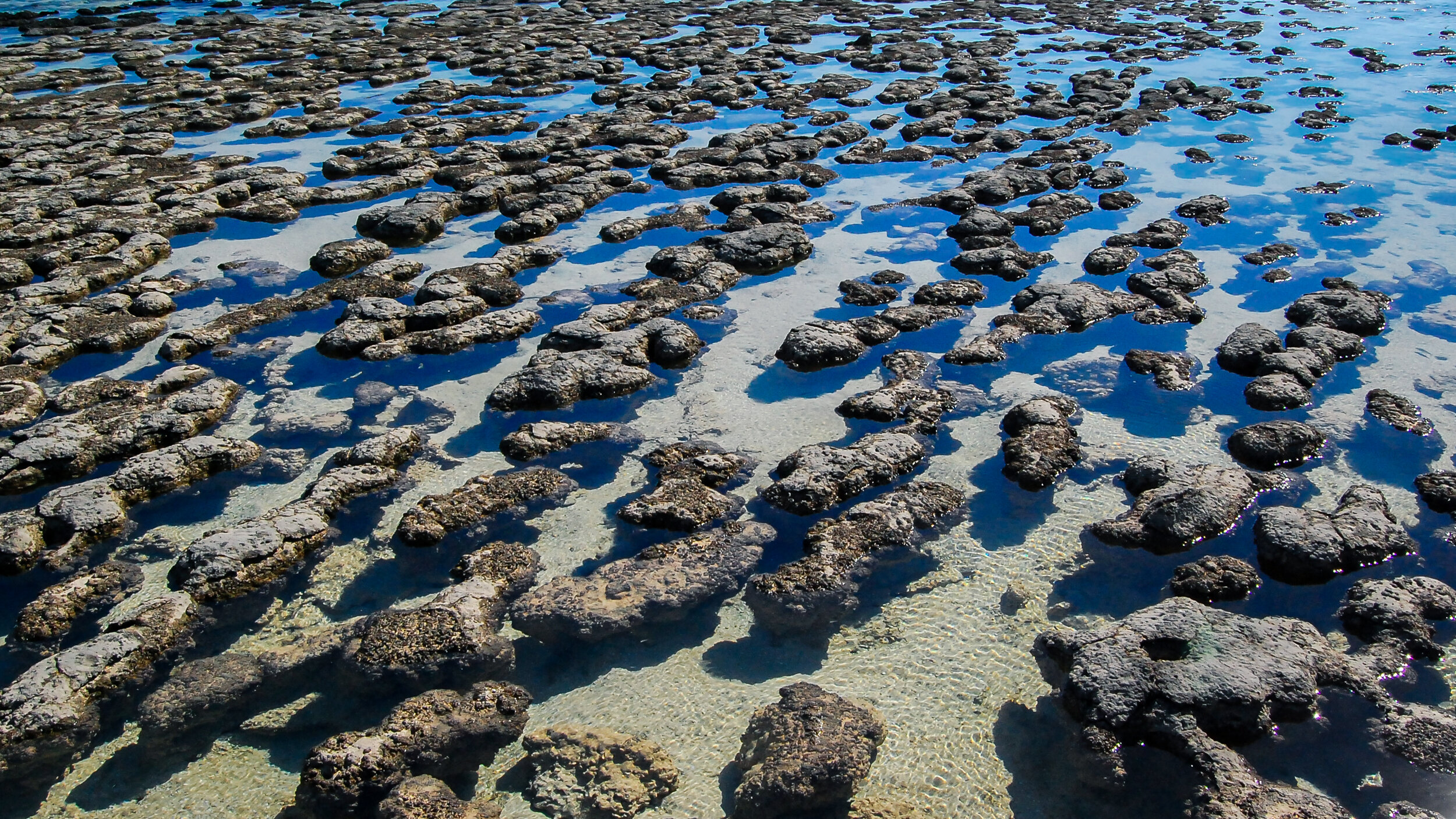 Stromatoliti, Western Australia