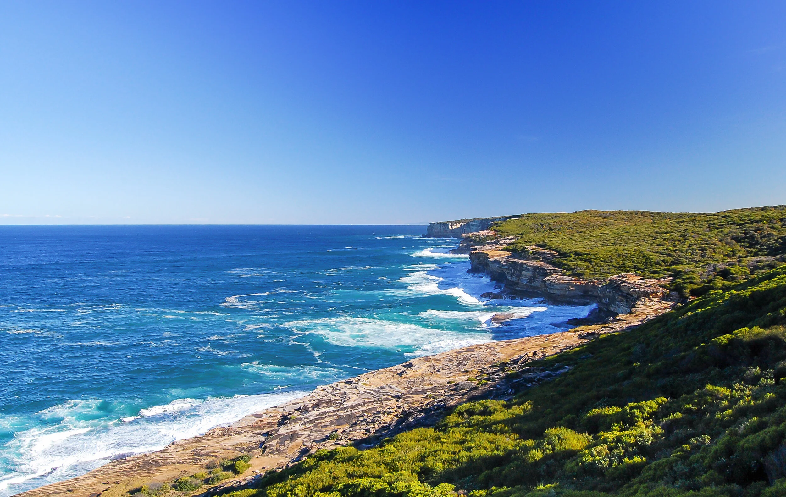 Royal National Park, Sydney