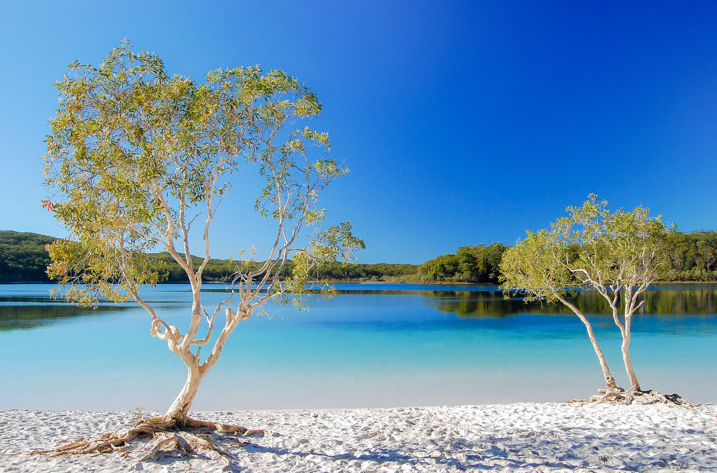 Lake Mckenzie, Fraser Island, Queensland