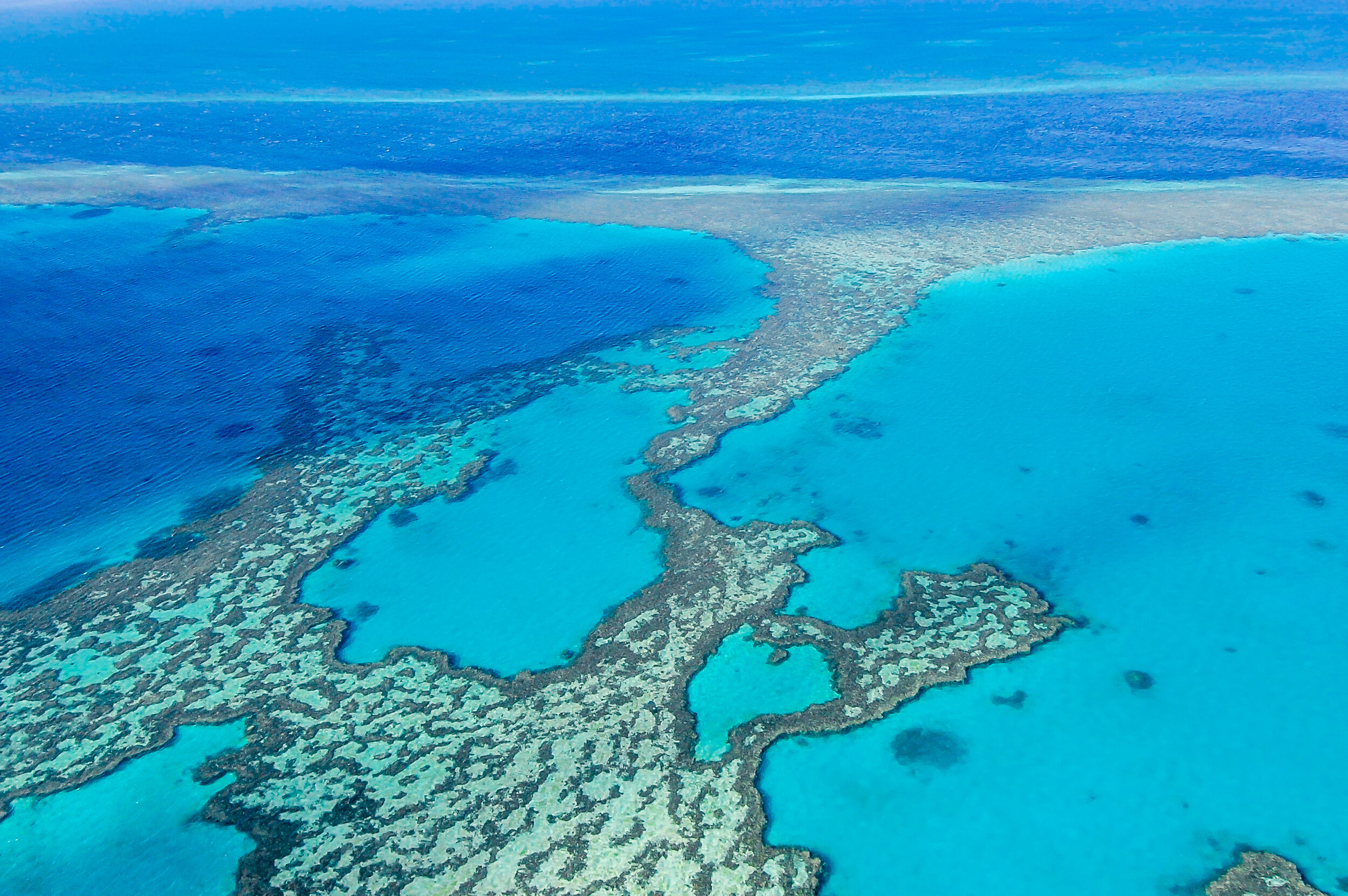 Grande Barriera Corallina, Australia