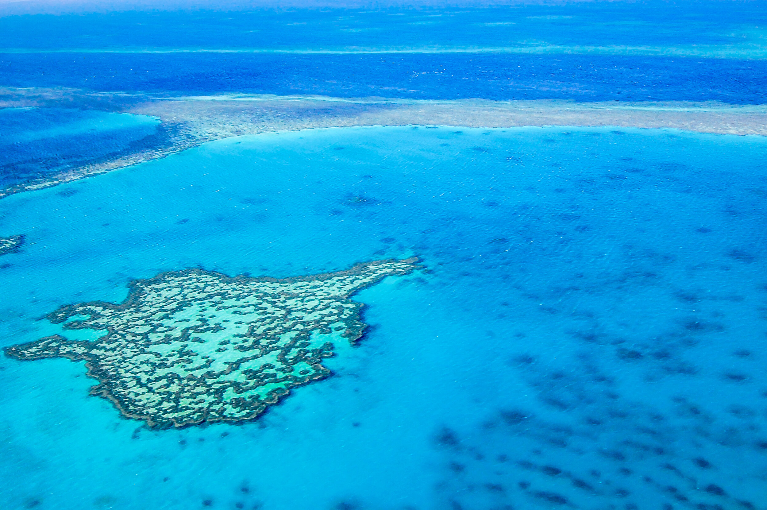 Grande Barriera Corallina, Australia