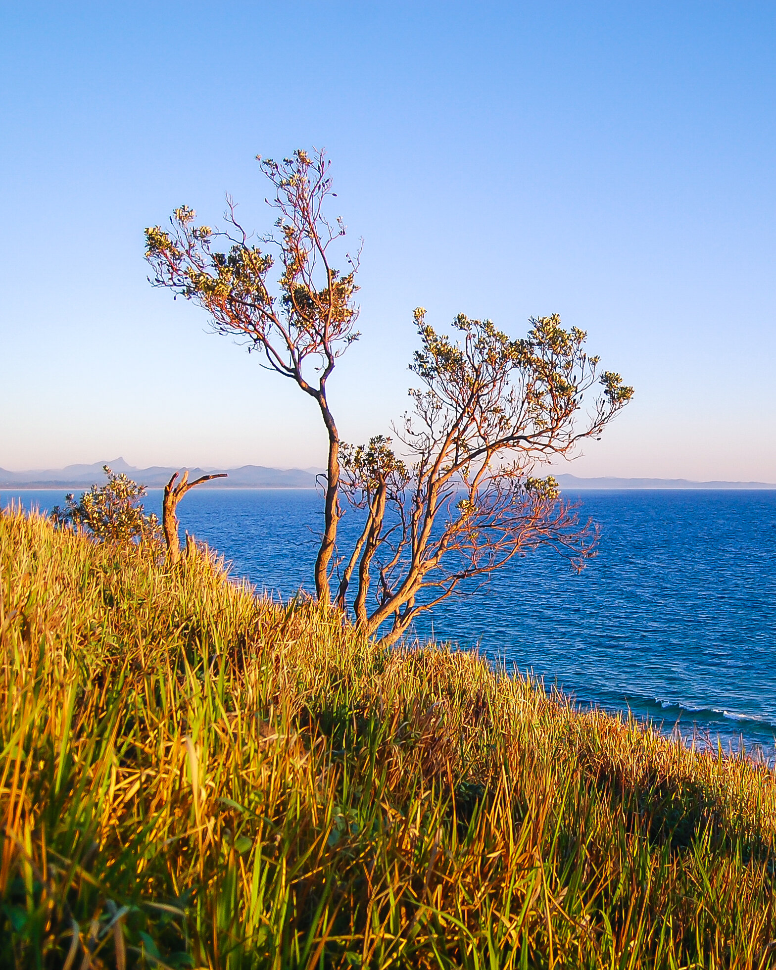 DA SYDNEY A BYRON BAY - Australia