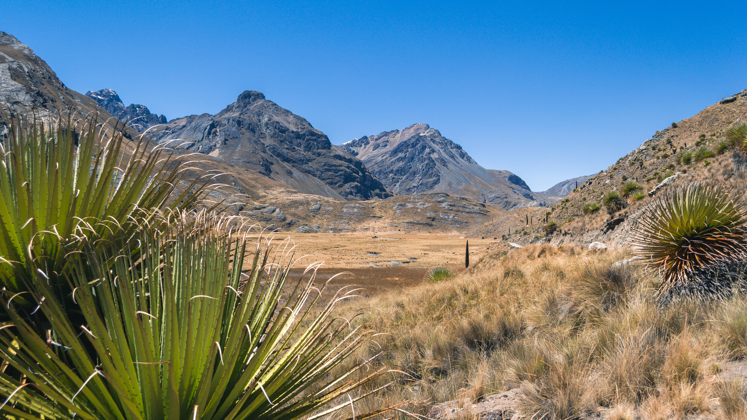 Cordillera Negra, Ande, Perù