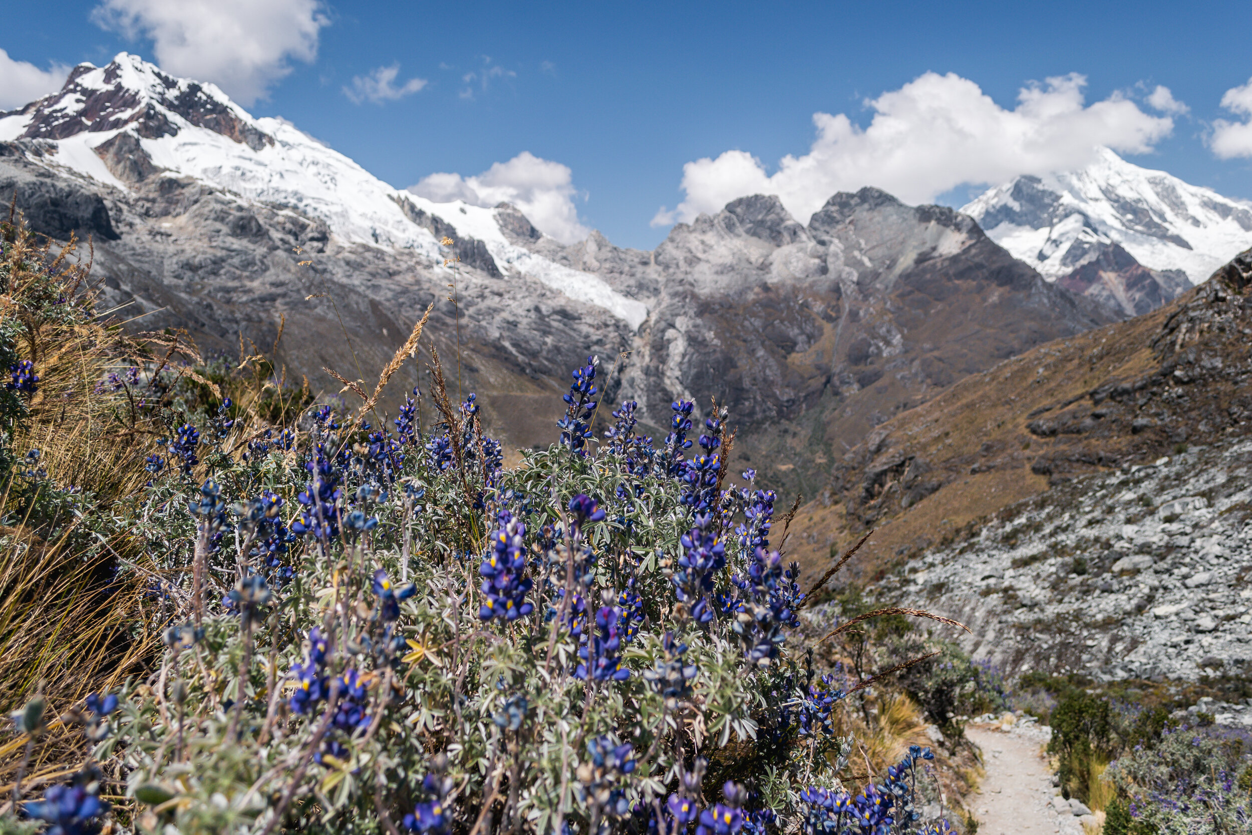 Chacraraju Mountain, Andes, Perù