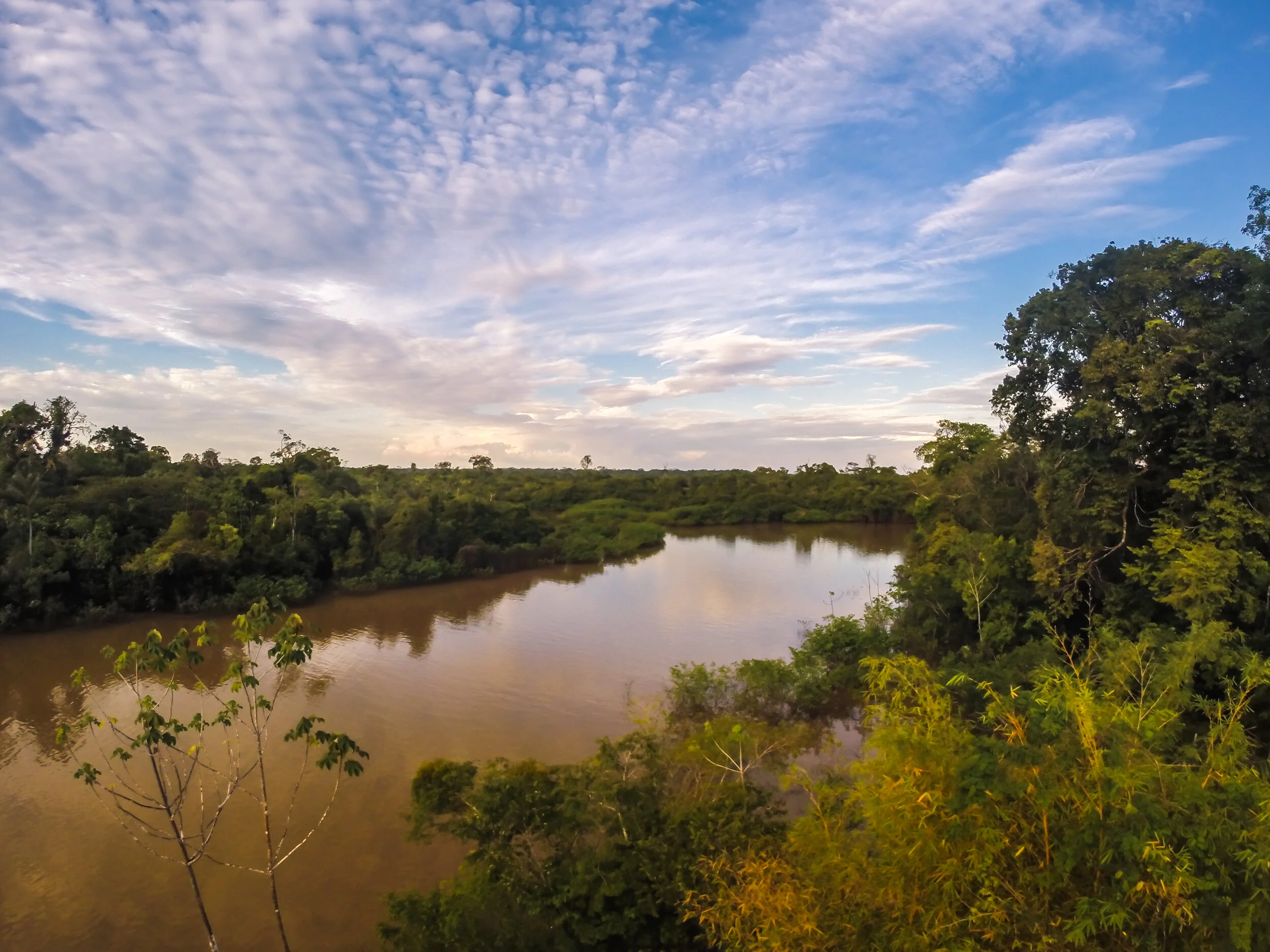 Sunset Amazon Forest, Perù