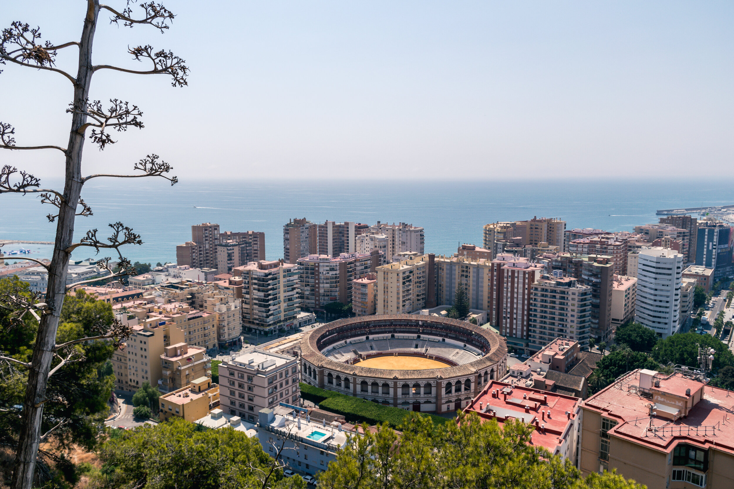 Arena di Málaga, Andalusia