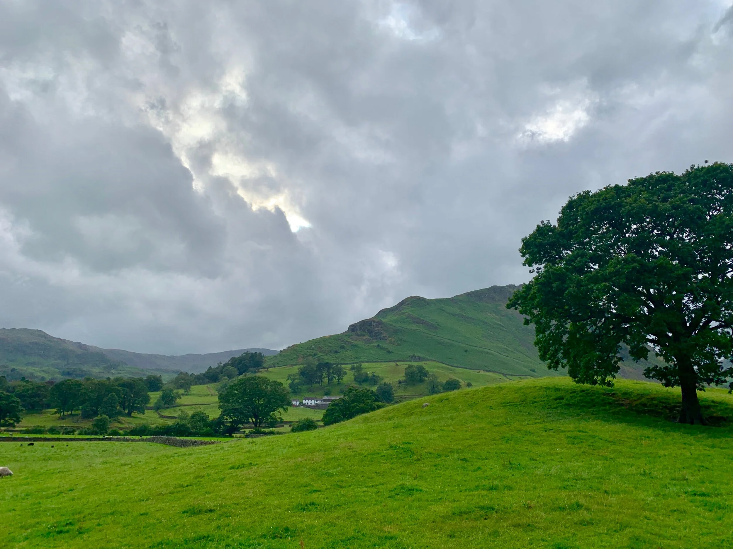 England (Summer 2019)