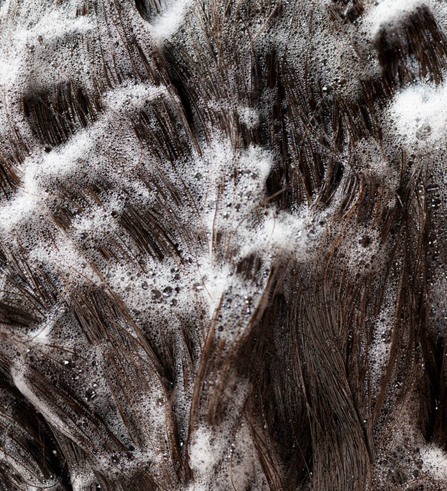 C0F88D94-DD24-4D9C-84DD-128A8505C952