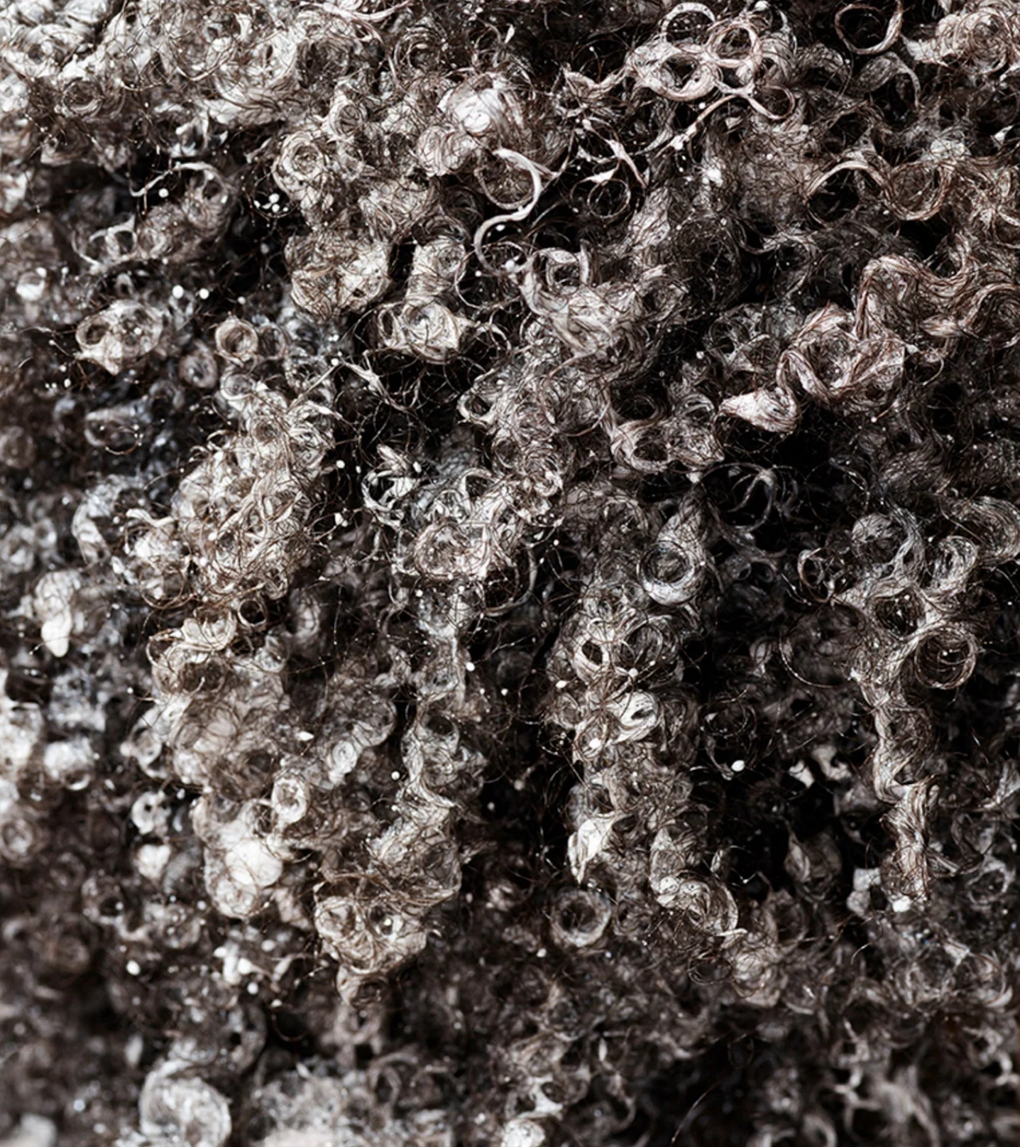 C1301375-8CF6-43C5-A81C-341604852740