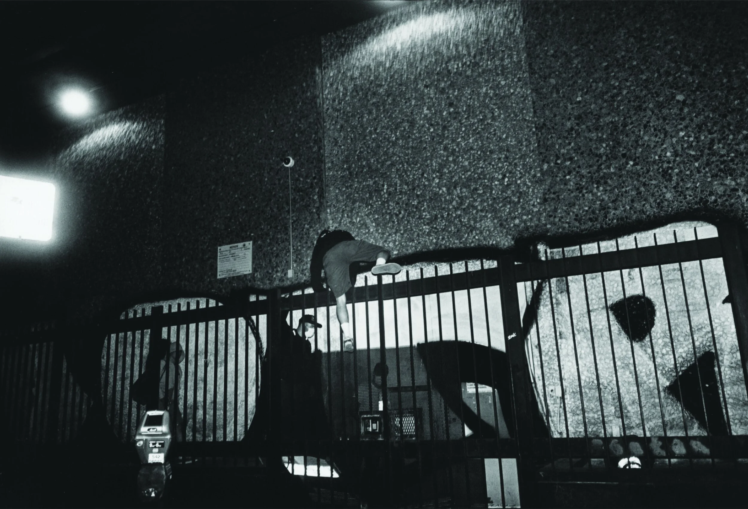 Asset 4@300x-100.jpg