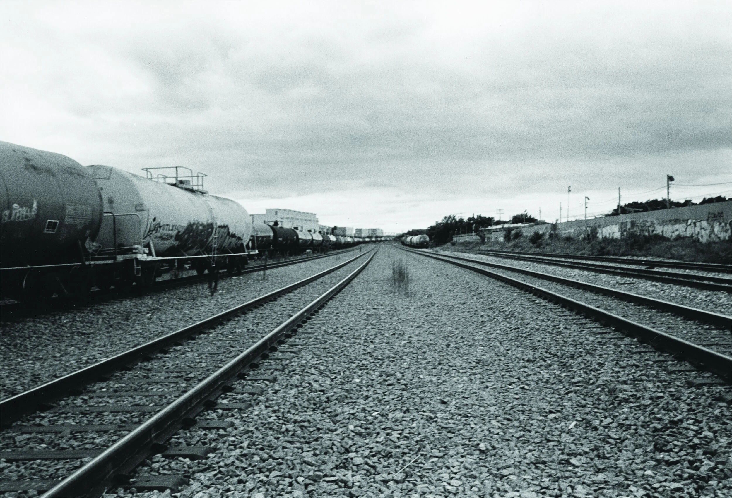 Asset 5@300x-100.jpg