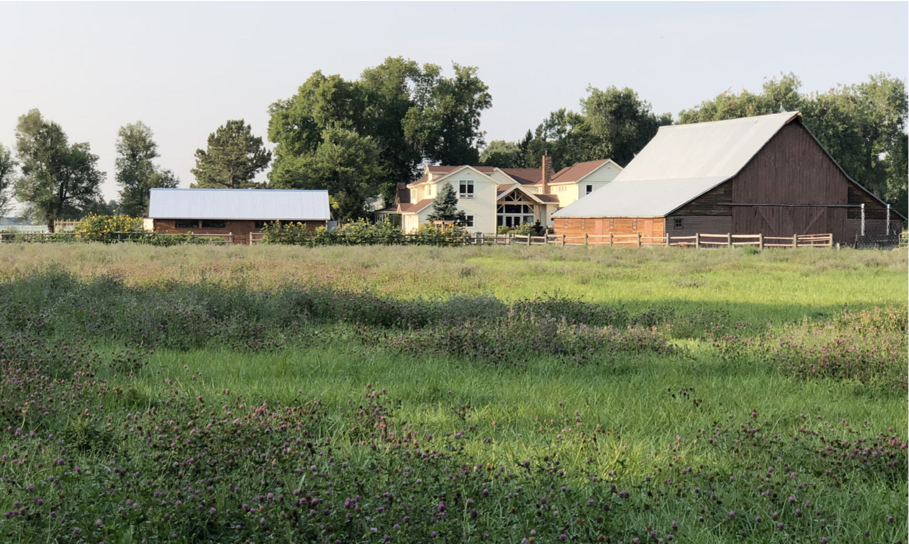 Screen Shot 2019-09-28 at 2.56.19 PM.png