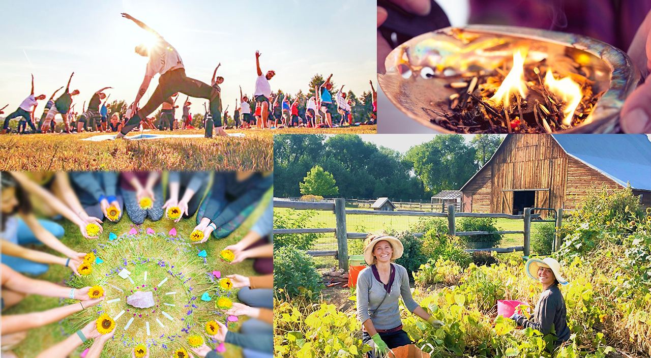 GeoFlower Banner New.png