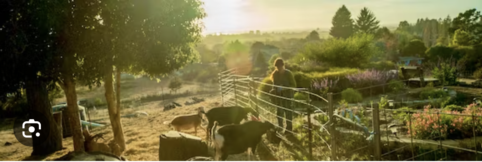 Screen Shot 2023-12-07 at 8.59.27 PM.png