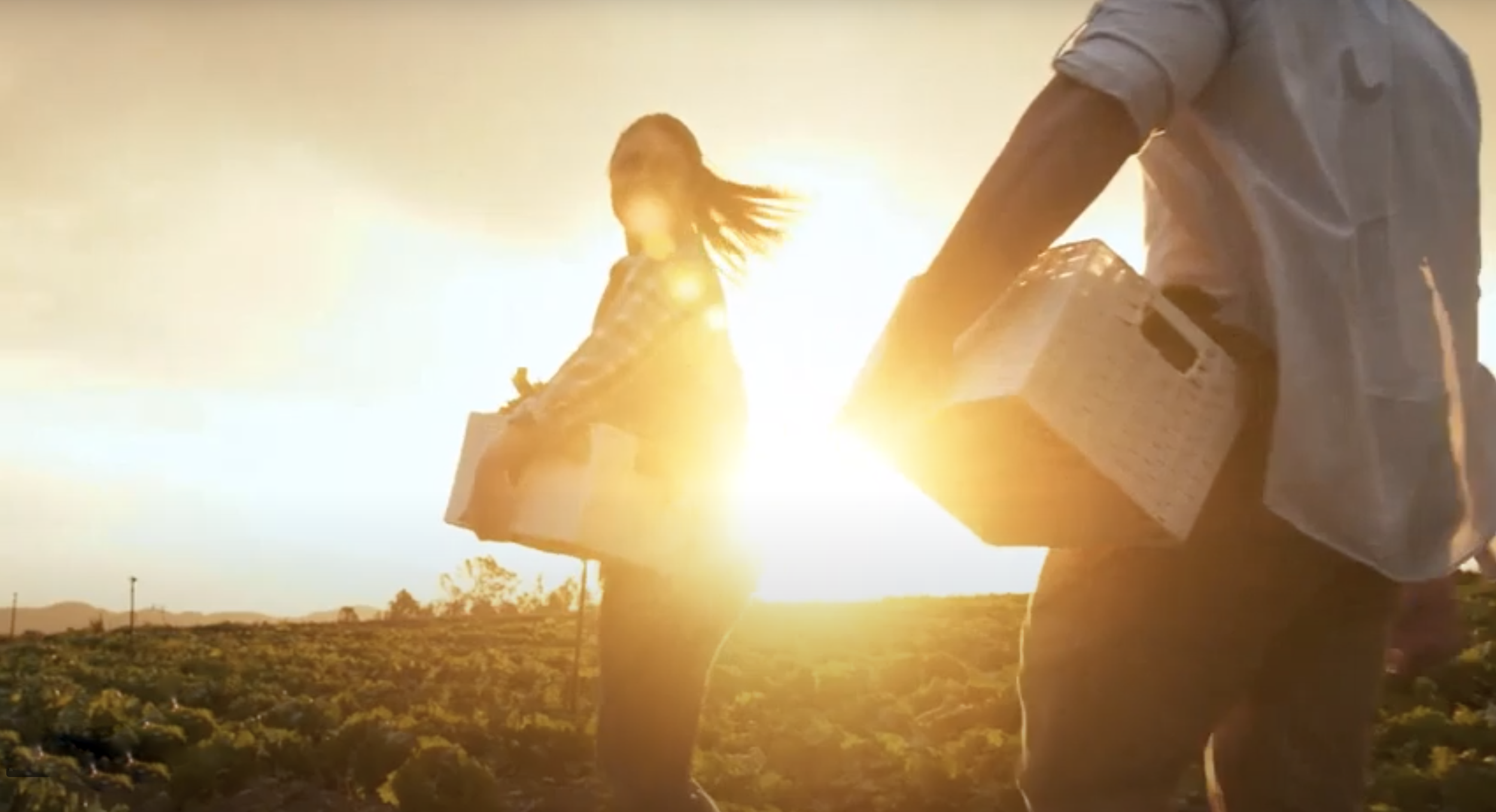 Geoflower Members banner.png