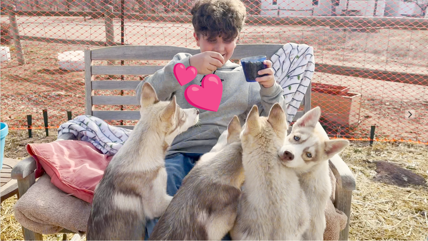 husky time Mar 2024.png