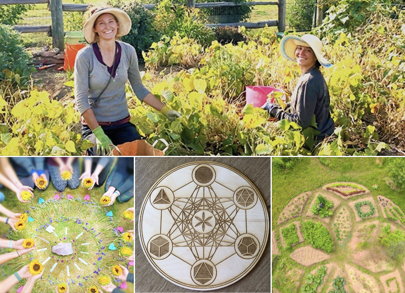 Screen Shot 2024-04-10 at 11.05.24 AM.png