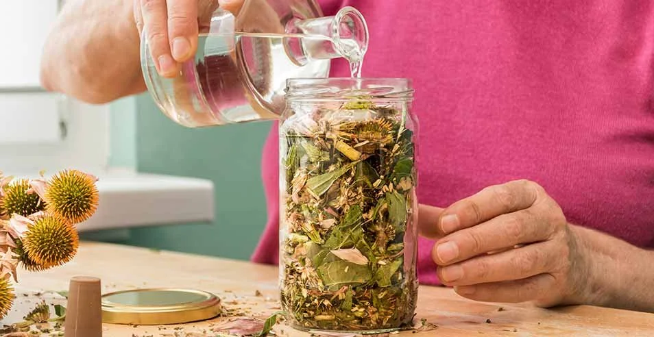 plant medicine tincture making.jpg
