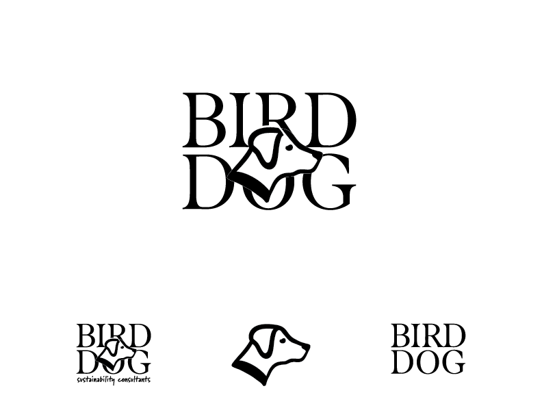 BirdDog_AlissaCook_Final_OL-01.png