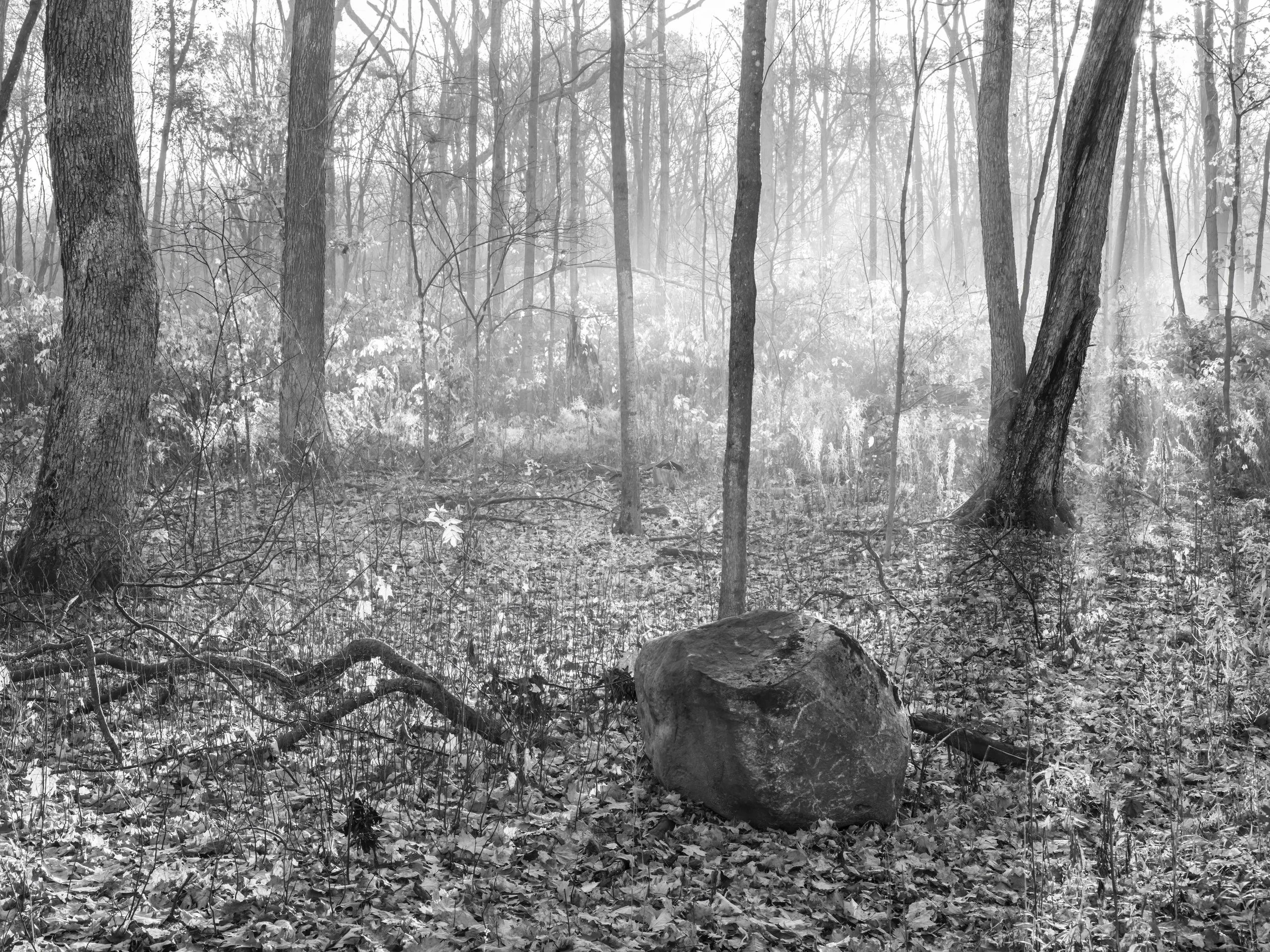 km - 2022-10-29-290416 copy.jpg